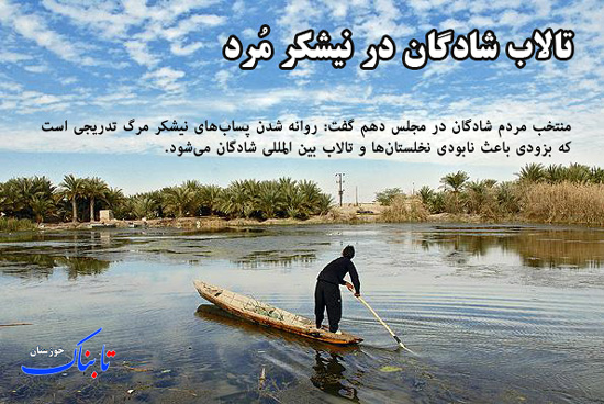 از «مرگ تالاب شادگان در نیشکر» تا «مرگ ابدی شیرهای سنگی»