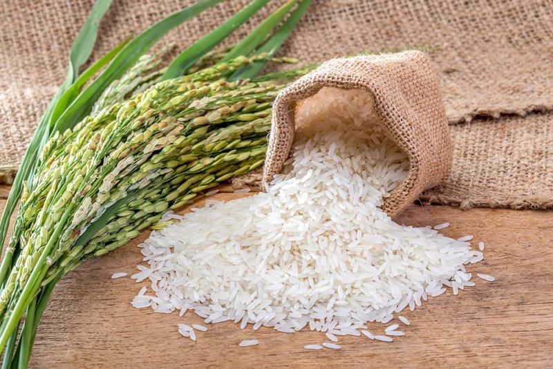 تولید برنج امسال افزایش پیدا می&zwnj;کند
