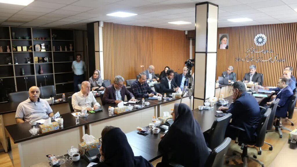 لزوم برنامه‌ریزی و شفافیت در مناسب‌سازی محیطی برای جامعه معلولین در کردستان/ رفع مشکلات در یک مقطع زمانی کوتاه امکان‌پذیر نیست