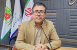 سفیران سنجوقک؛ نخستین سند فرهنگی مبتنی بر منظومه فکری شهدای کردستان آماده رونمایی شد