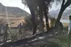 مهار ضربتی حریق در مزارع سد طالقان/ از فاجعه زیست‌محیطی جلوگیری شد!